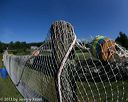 20130825-c-0017