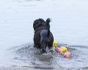 20130825-cwd-0039