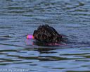 20130825-cwd-0052