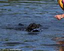 20130825-cwd-0074