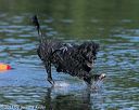 20130825-cwd-0123