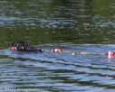 20130825-cwd-0131