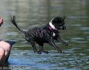 20130825-cwd-0161