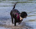 20130825-cwd-0175