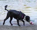 20130825-cwd-0182