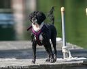20130825-cwd-0197