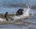 20130825-cwd-0207