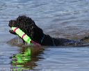 20130825-cwd-0209