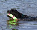 20130825-cwd-0218