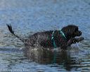 20130825-cwd-0285