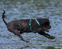 20130825-cwd-0296