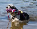 20130825-cwd-0314