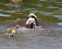 20130825-cwd-0357