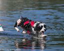 20130825-cwd-0375