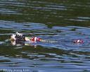 20130825-cwd-0379