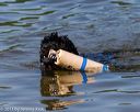 20130825-cwd-0390