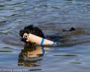 20130825-cwd-0392