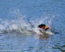 20130825-cwd-0400