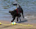20130825-cwd-0418