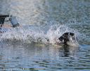 20130825-cwd-0442