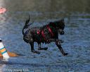 20130825-cwd-0450