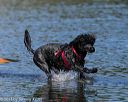 20130825-cwd-0451