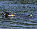 20130825-cwd-0456