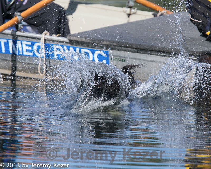 20130825-cwd-0025.jpg