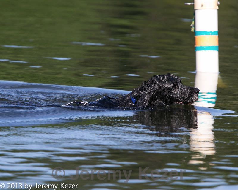 20130825-cwd-0139.jpg