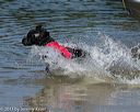 20130825-jwd-0051