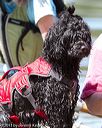 20130825-jwd-0089