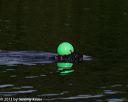 20130825-v-0008