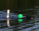 20130825-v-0010