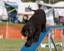 20130928-a-0032