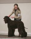 20140301-msda-0368