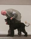 20140301-msda-0374