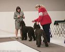 20140301-msda-0375