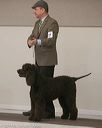20140301-msda-0376