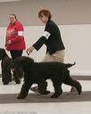 20140301-msda-0380