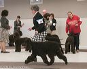 20140301-msda-0404