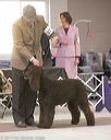 20140301-msda-0409