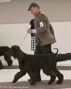 20140301-msda-0413