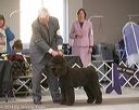 20140301-msda-0418