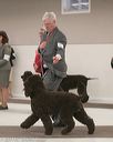 20140301-msda-0422