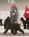 20140301-msda-0425
