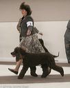 20140301-msda-0431