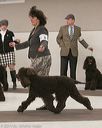 20140301-msda-0433
