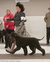 20140301-msda-0435