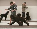 20140301-msda-0441