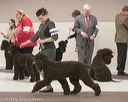 20140301-msda-0443